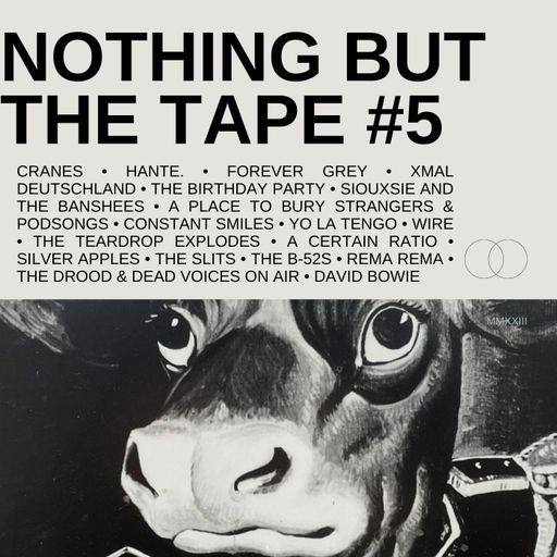 NOTHING BUT THE TAPE #5