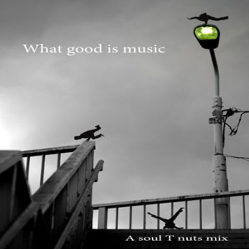 Soul T Nuts - What good is music