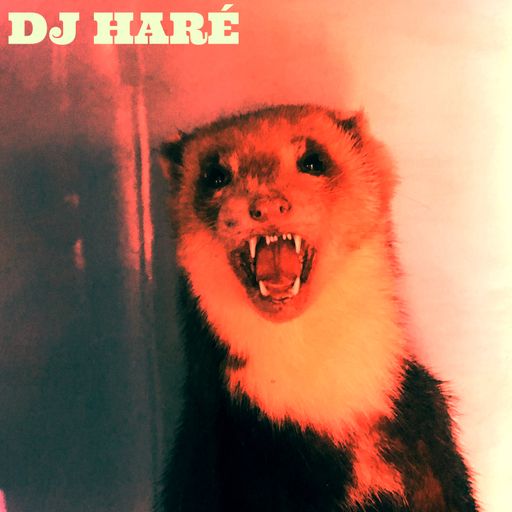 DJ HARÉ mostly vinyl 20.05.18