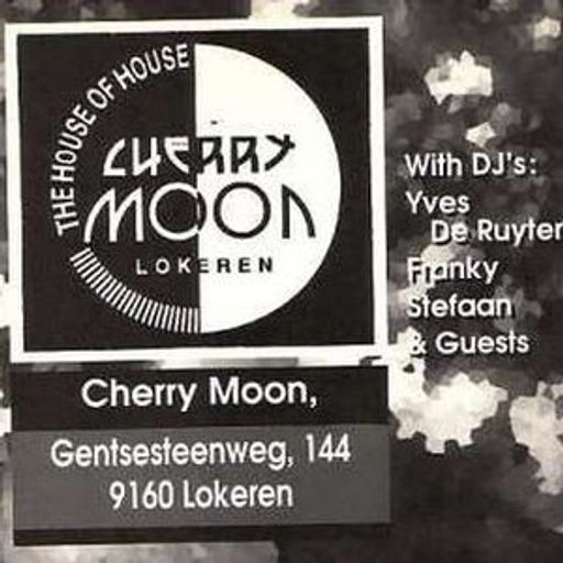 Yves De Ruyter at Cherry Moon (Lokeren - Belgium) - 13 August 1994