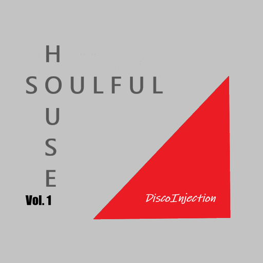Soulful House Mix Vol. 1 / 2021 by DiscoinJection
