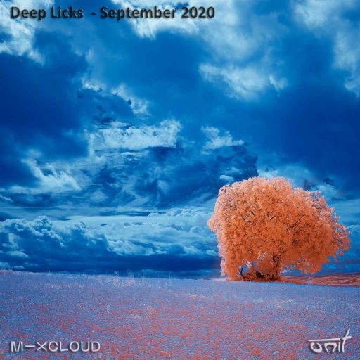 Deep Licks - September 2020