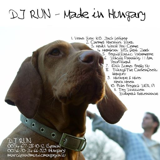 dj run - made in hungary (2003)