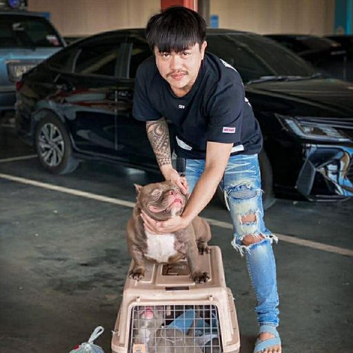 HBD ซาลาเปา