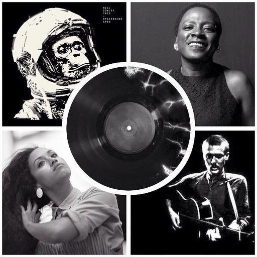 Kap't Kirk's VINYL FRONTIER (25/11/2016)
