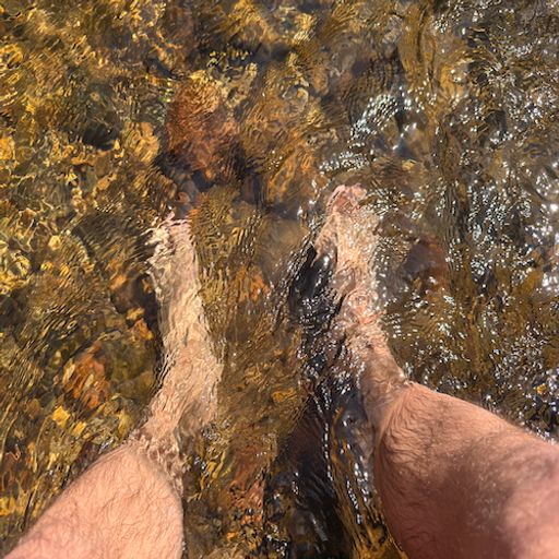 Dipping My Toes in Again Vol.4...