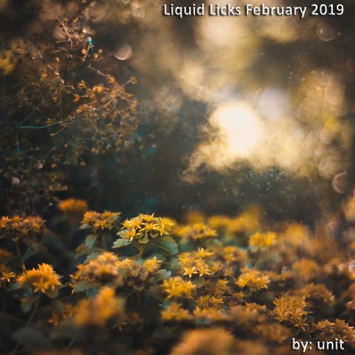 Liquid Licks February 2019