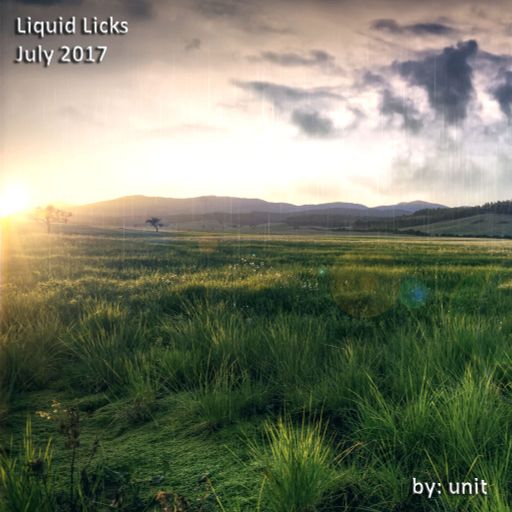 Liquid Licks July 2017