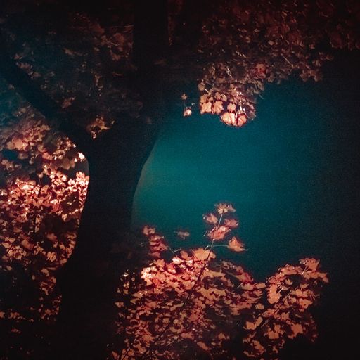 TRANSIENCE #31 with Lou Drago and Saphileaum 28.09.2020
