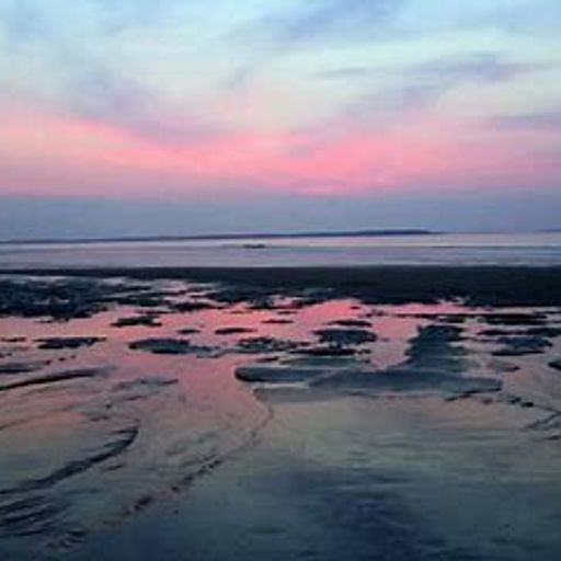 Face in the Crowd (PopRockCountry&ProgressiveRock)