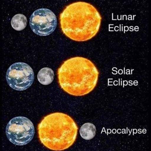 Forecast