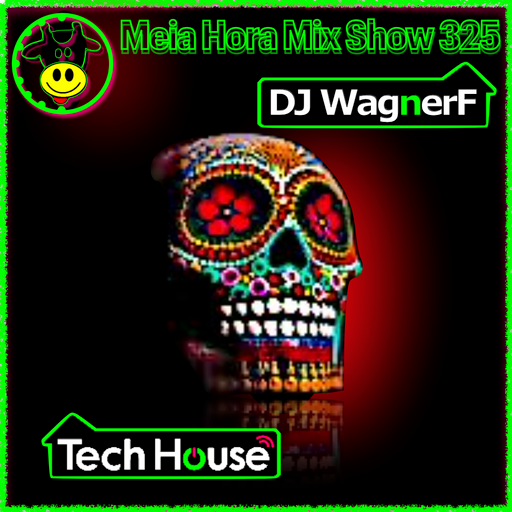 MHMS325 DJ WagnerF - Tech House