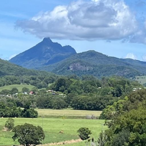 Radia #1022 - Brush Box Mountain by Richard Kennedy - 16th January 2025
