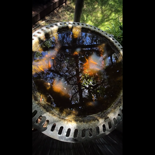 you can do it! TIME of the TIGRESS :-D