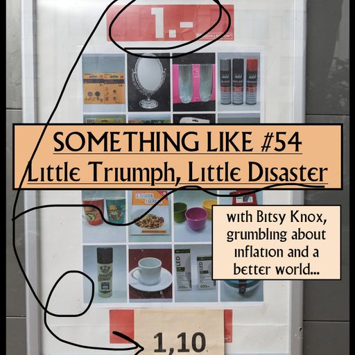Something Like #54: Little Triumph, Little Disaster, w/ Bitsy Knox 24.05.2023