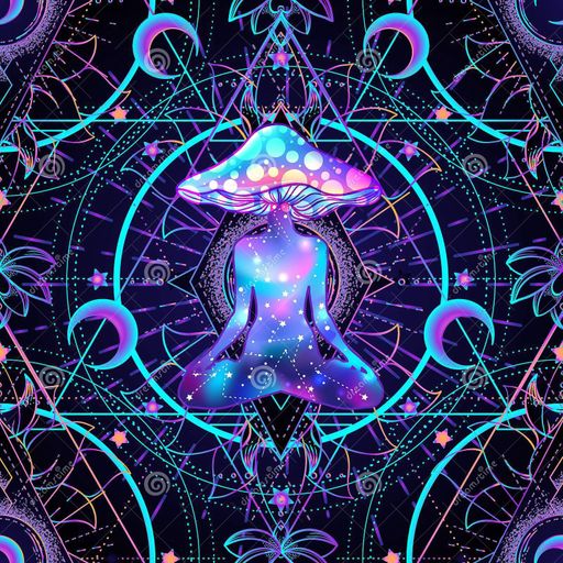 The Alchemist pres. All Chemical Experiences 2023