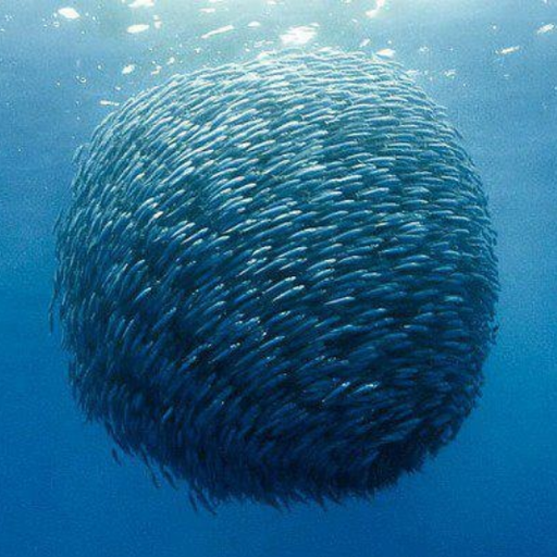 The Ocean Episode (Morning Bunz 07.14.24)