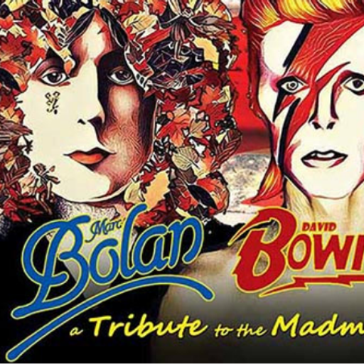 Various Artists — A Tribute to the Madmen.Marc Bolan & David Bowie