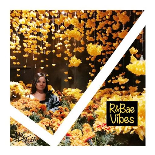 MikeCheckk - R&Bae Vibes