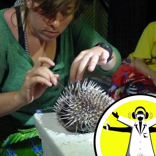 Diving into Ocean Conservation