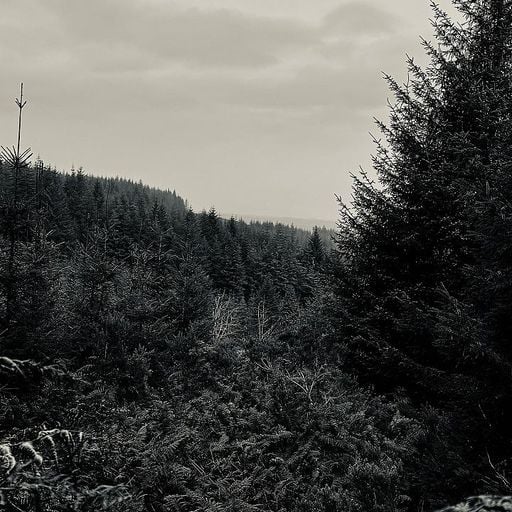Anois, Os Ard w/ Eoin Murray - 24th September 2025