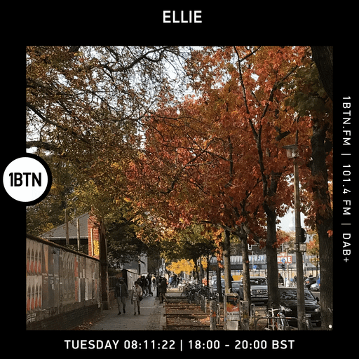 Ellie - 08.11.2022