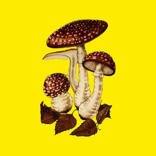 KillingTime w. Oozing Lethargy - August 2023