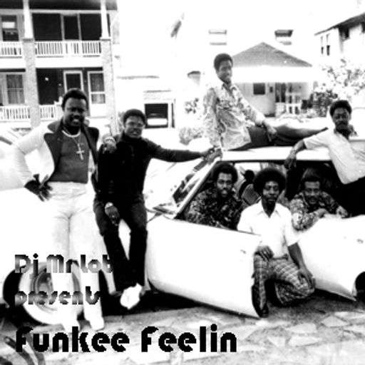 Funkee Feelin