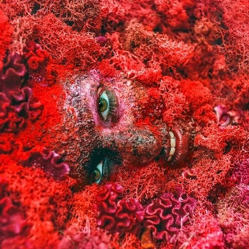 Wiggle Wednesday May 2024