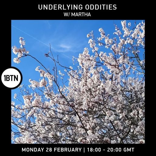 Underlying Oddities with Martha - 28.02.2022