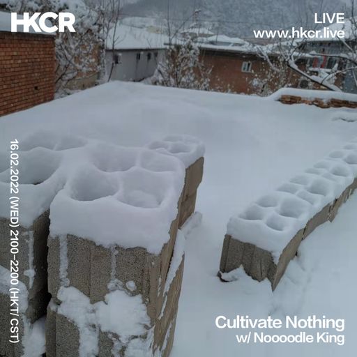 Cultivate Nothing w/ Noooodle King - 17/02/2022