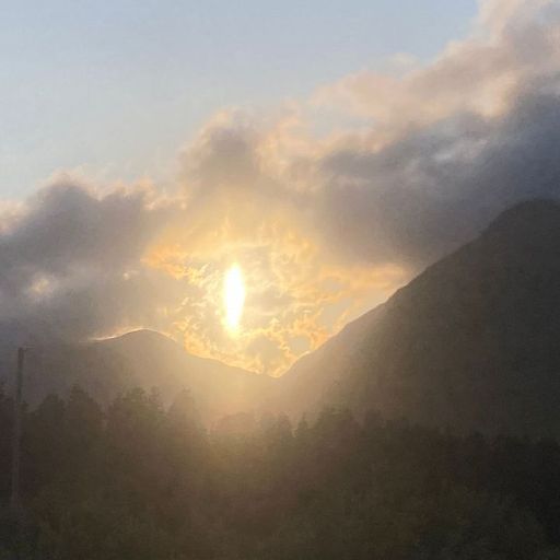 The Early Bird Show w/ Maria Somerville & Colle - 16th June 2025