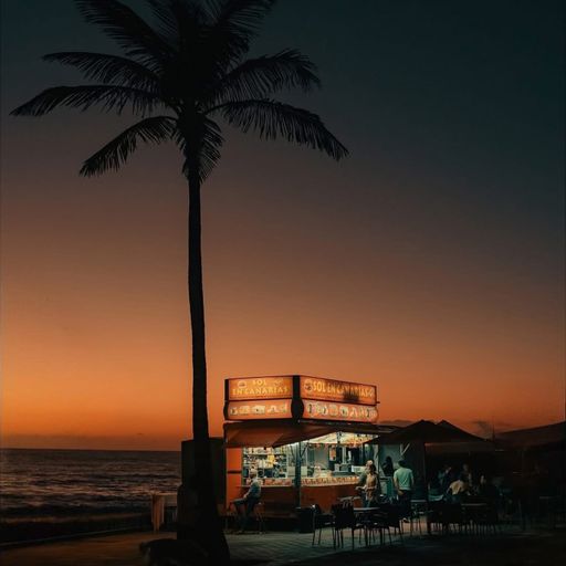 Velvet Echoes 09 // Sounds of Vintage Hawaii