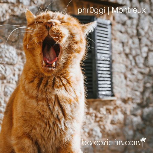 Montreux (012) (phr0ggi)