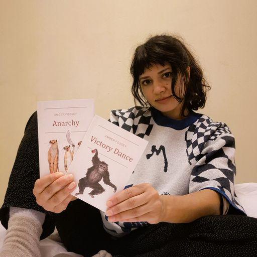 Amris - Zeppelinmoon Trilogy