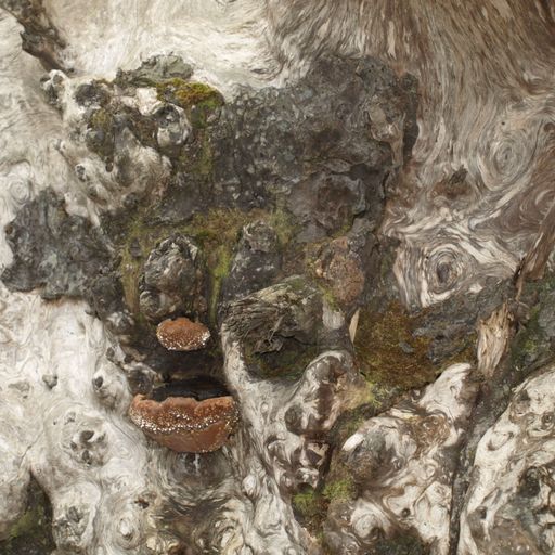 Trouble acting normal (Eclectic Playlist Series 9.08)