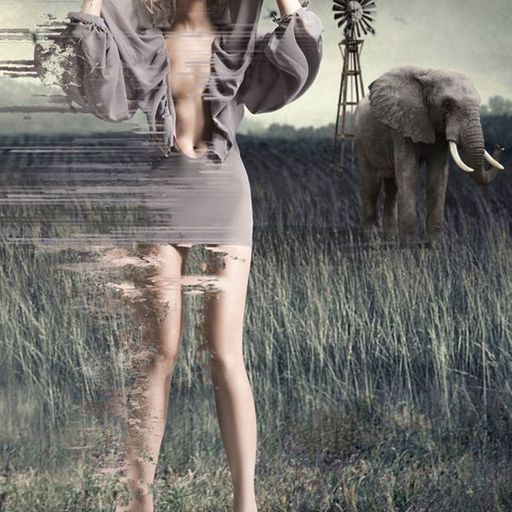 Local Wildlife (JazzFusion)