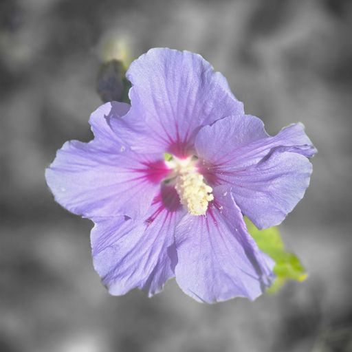 Friday Psy. (29/08/25)