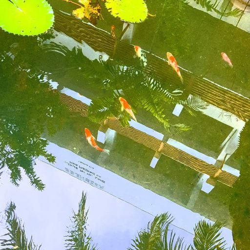 djoodi - Transmisi Duniani - 9th September 2025