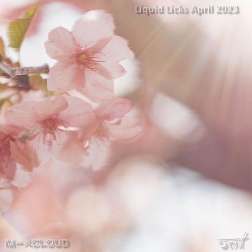 Liquid Licks - April 2023