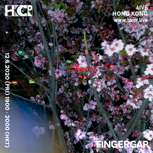 FINGERGAP - 12/06/2020