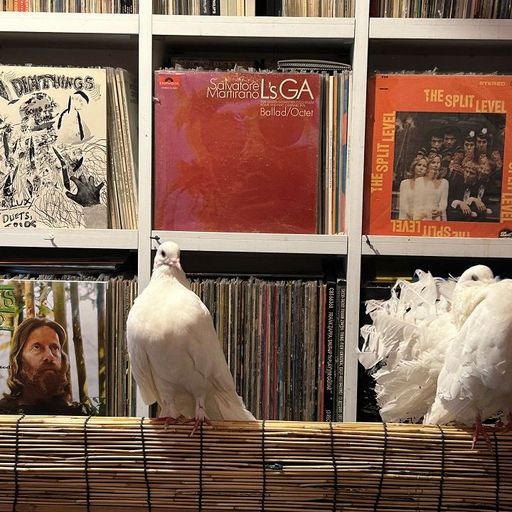 Merzbow - 7th May 2025