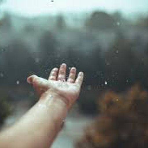 The Photograph (ExtendedProgRockTrip)