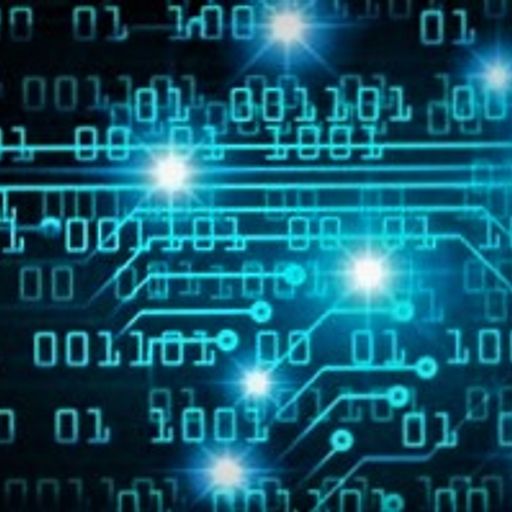 The Programmer (Electronic)