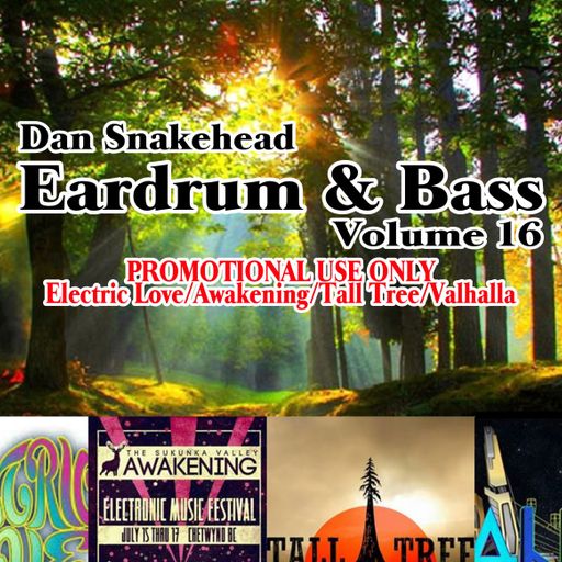 Eardrum & Bass Volume 16