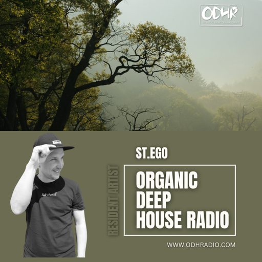 St.Ego - Resident Mix November 2024