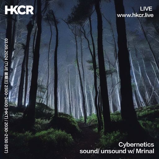 Cybernetics sound/ unsound w/ Mrinal - 03/09/24