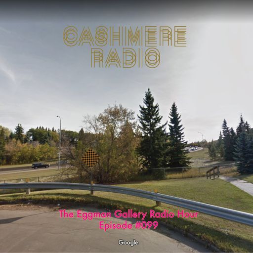 The Eggman Gallery Radio Hour Episode #099 08.03.2023