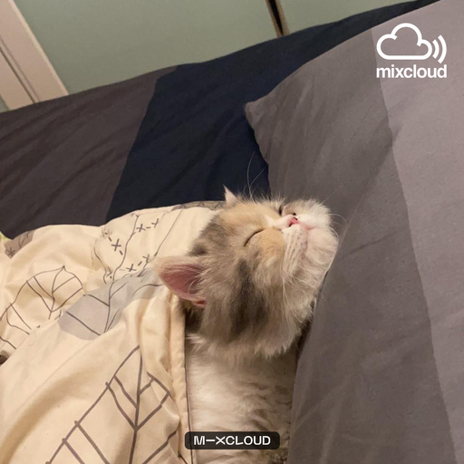 กินข้าวไม่อร่อย กินขนมอร่อยกว่า ʙʏ จิแบ ทัวร์จีน