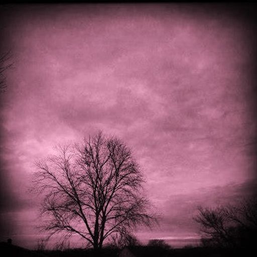 Distant Memory (ExtendedProgressiveRock)